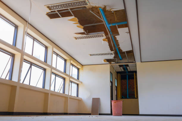Best Flood restoration services  in Satellite Beach, FL