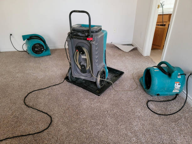 Best Water damage cleanup near me  in Satellite Beach, FL