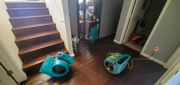 Best Water damage restoration near me  in Satellite Beach, FL