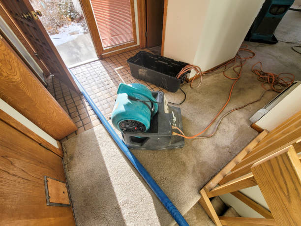 Best Carpet water damage restoration  in Satellite Beach, FL
