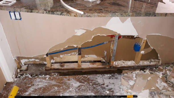 Best Water damage contractors near me  in Satellite Beach, FL