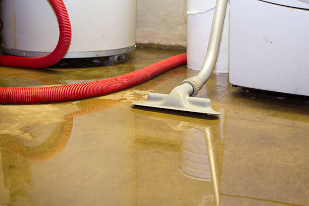 Best Sewage cleanup and water damage restoration  in Satellite Beach, FL