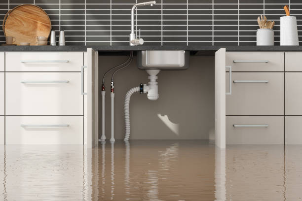 Best 24-hour water damage restoration  in Satellite Beach, FL