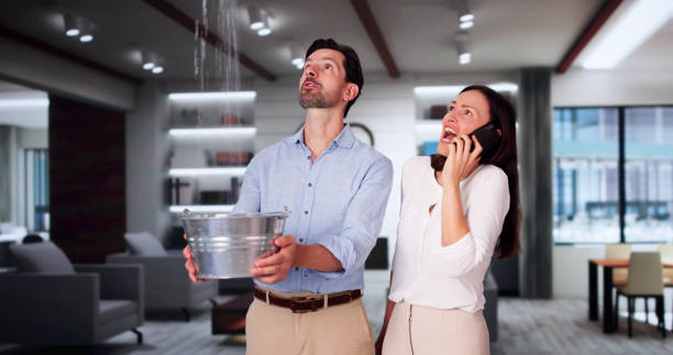 Best Carpet water damage restoration  in Satellite Beach, FL