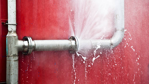 Best Ceiling water damage repair  in Satellite Beach, FL